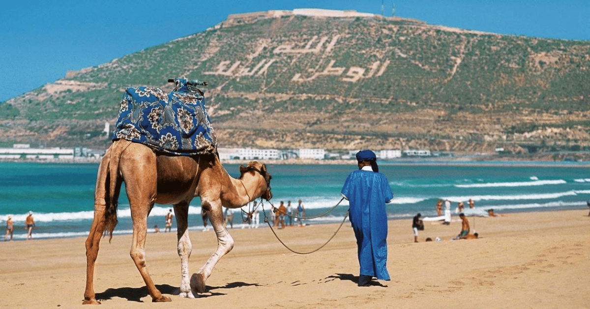 agadir
hotel rabat
rabat

chauffeur service
chauffeur
airport transfer
taxi near me
taxi service near me

morocco holidays
morocco tours
casablanca day tours
desert tour from marrakech
essaouira morocco
tangier
water park marrakech
ouarzazate morocco
sidi ifni
